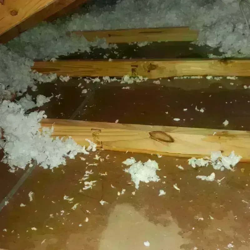 Attic Water Damage in Edison, GA