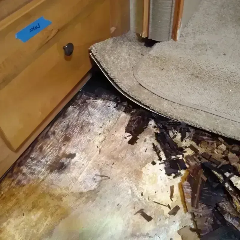 Wood Floor Water Damage in Edison, GA